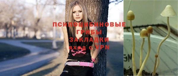 МДПВ Богданович