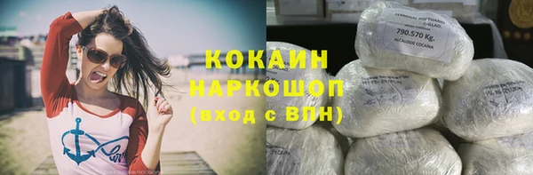 mix Богородицк