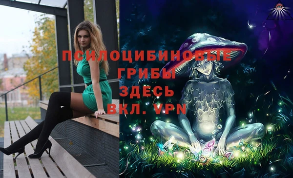 мдма Богородск