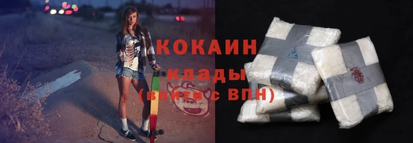 mix Богородицк