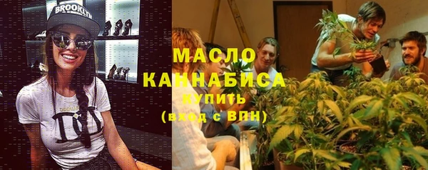 mix Богородицк