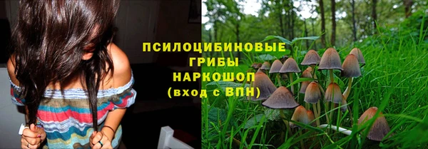 МДПВ Богданович