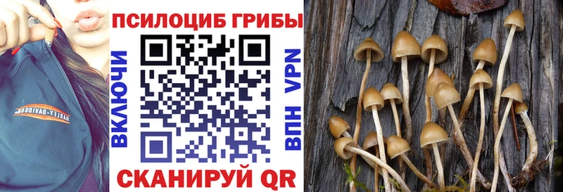 Галлюциногенные грибы GOLDEN TEACHER  закладки  Плёс 